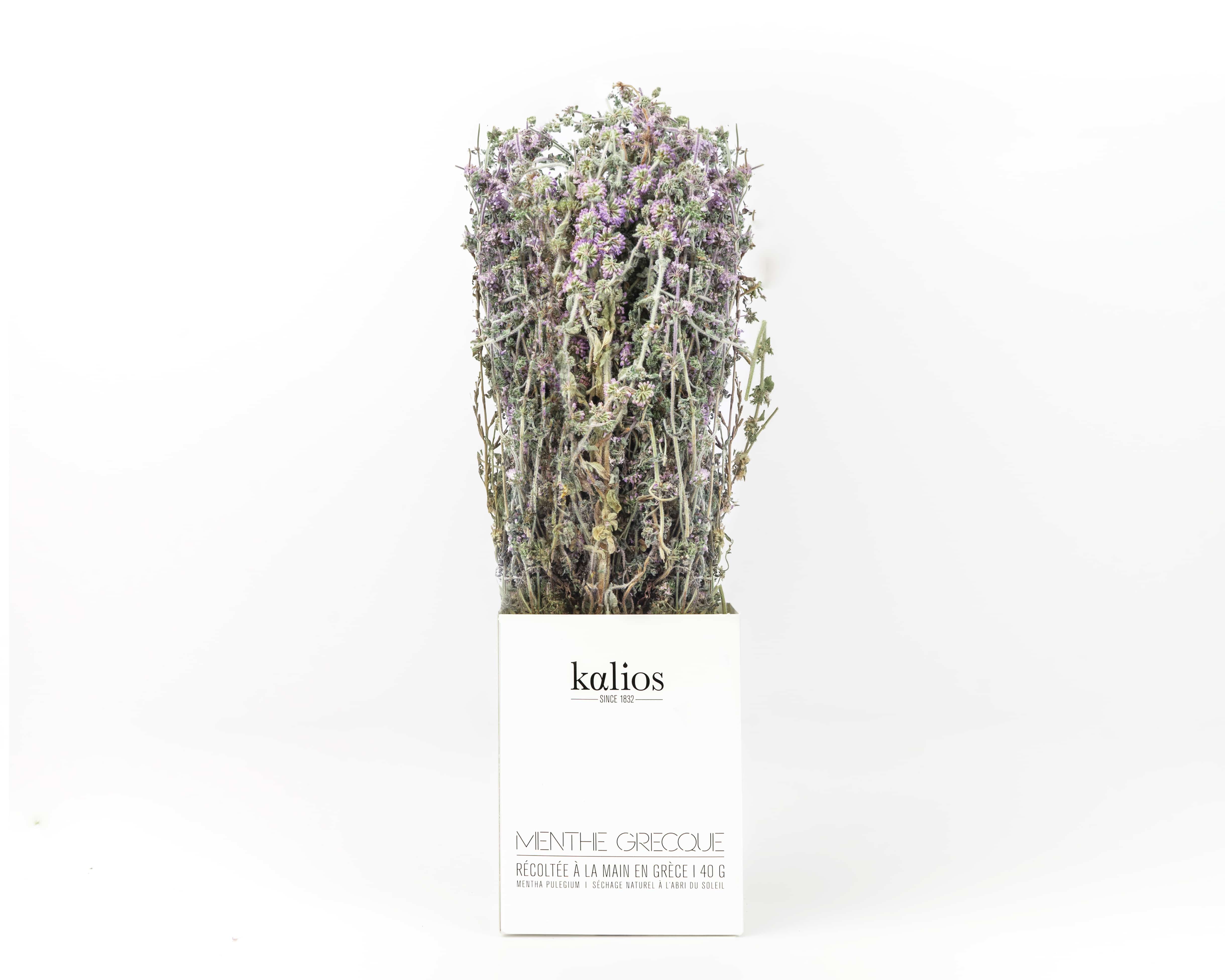 Greek Mint Sale, Purchase,